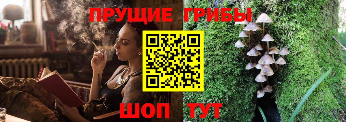 Галлюциногенные грибы мицелий  Галлюциногенные грибы прущие грибы  Вход с VPN  Кострома 